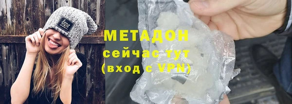 прущие грибы Абаза