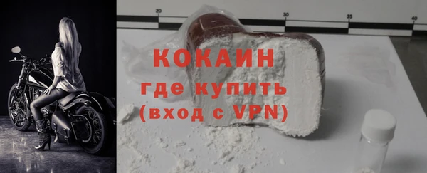 прущие грибы Абаза