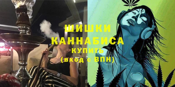 прущие грибы Абаза