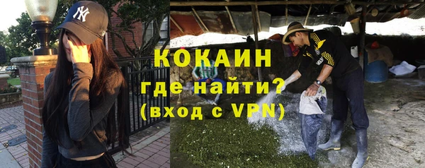 прущие грибы Абаза